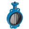 Butterfly valve Type: 6730 Ductile cast iron/Stainless steel Bare stem Wafer type
